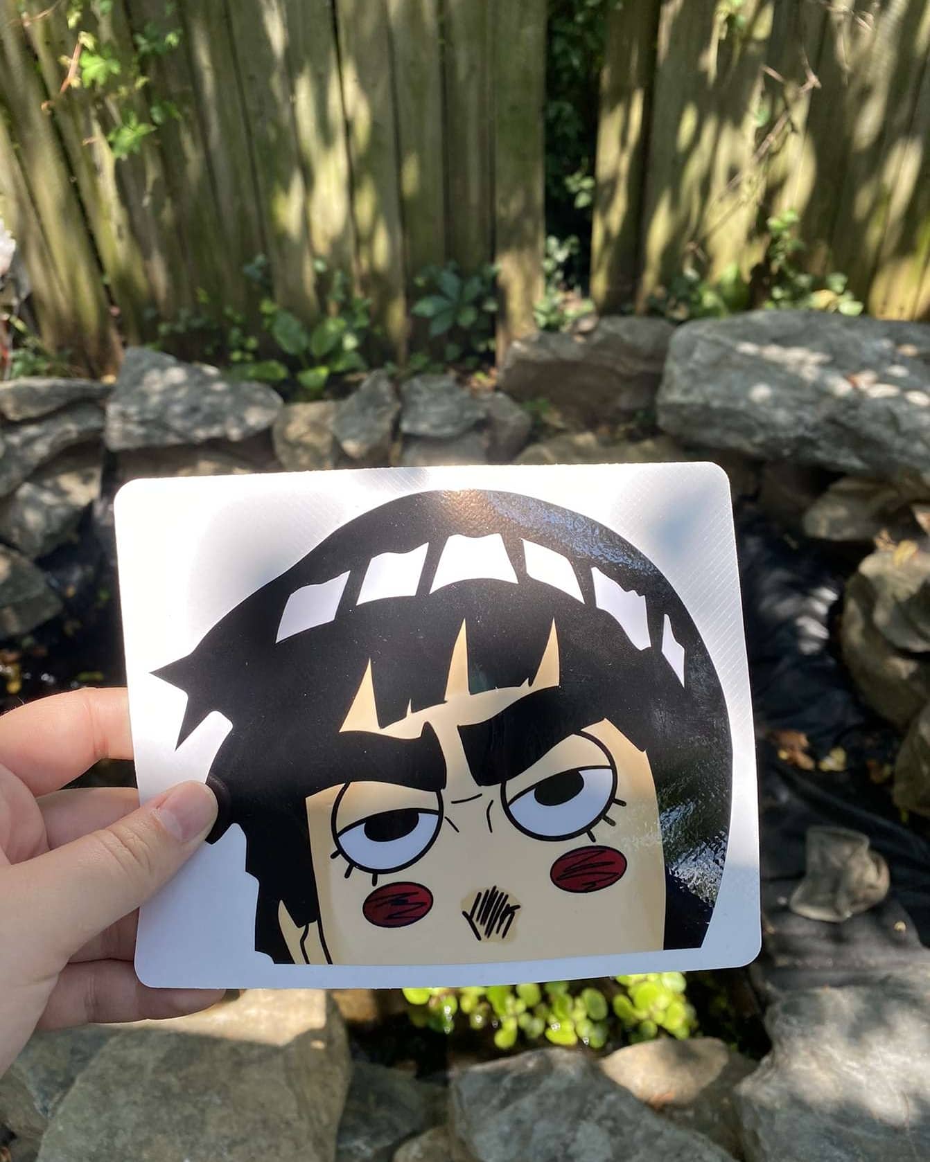 Rock Lee Peeker