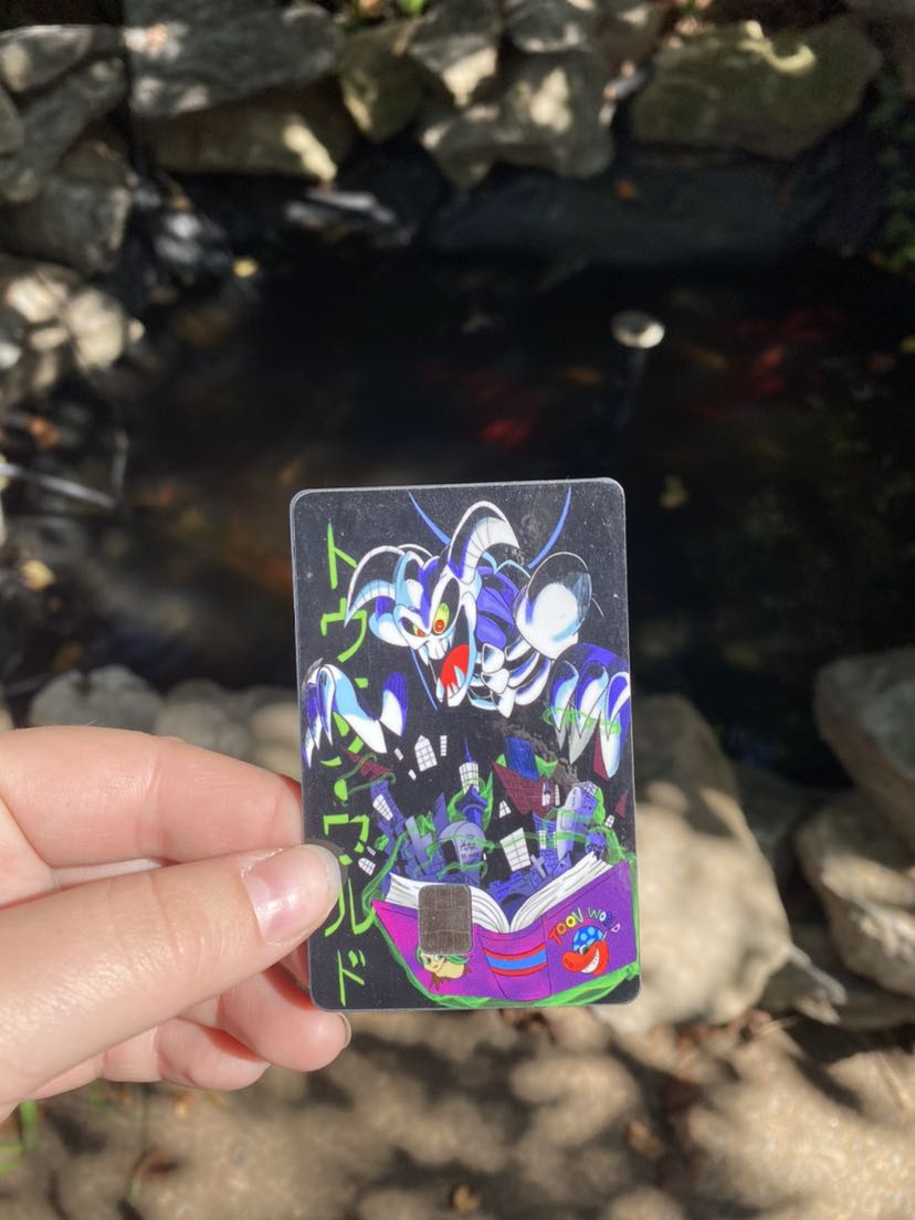 Toon World Card Cover